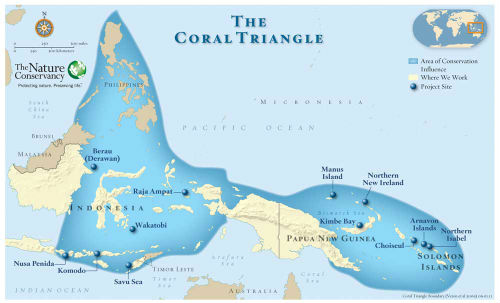 coral triangle