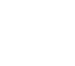 FTZ Icon