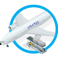 LILLY-Air-Freight-Plane-Imports-Exports-Icon Freight International Shipping And Export To Central And South America