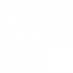 Shiplilly-Air-Freight-Icon