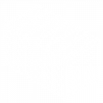 Shiplilly-Customs-Brokerage-Icon