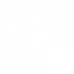 Shiplilly-Ecommerce-Fulfillment-Icon