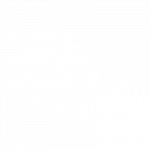 Shiplilly-Ocean-Freight-Icon
