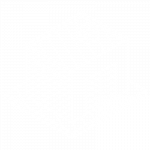 Shiplilly-Warehousing-Icon