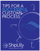 Successful-Customs-Process-Preview